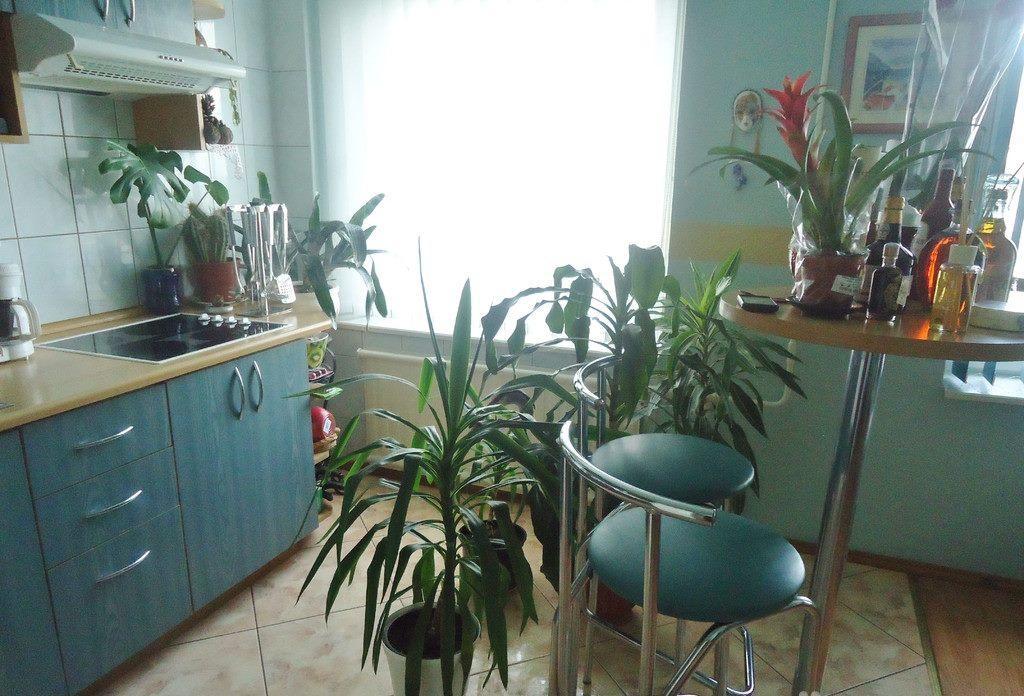 Puikus Apartamentai Alytus Buitenkant foto